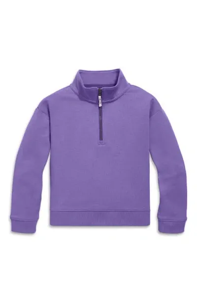 Primary Quarter Zip Sweatshirt In Violet