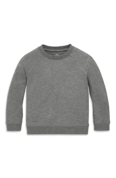 Primary The Sweatshirt In Heather Storm Gray