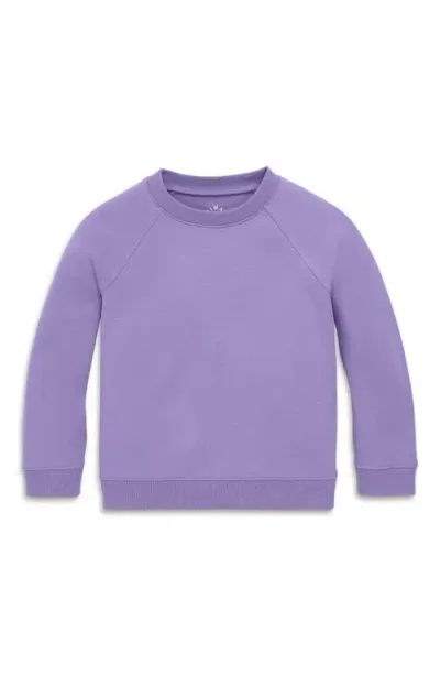 Primary The Sweatshirt In Iris