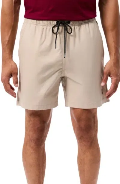 Psycho Bunny Palm View Hydrochromic Swim Trunks In Stone