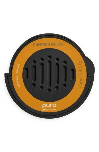 Pura Pumpkin Dulce Car Fragrance