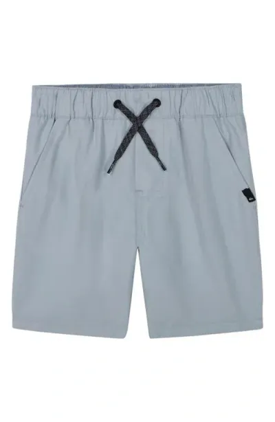 Quiksilver Kids' Amphibian Board Shorts In Quarry