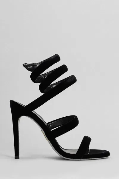 René Caovilla Cleo Sandals In Black