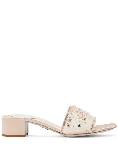 René Caovilla Crystal-embellished Leather Mules In Neutrals