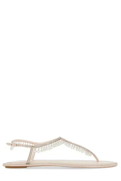 René Caovilla Light Blue And Multicolour Diana Low Jewel Sandals In Pink