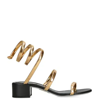 René Caovilla Leather Juniper Sandals 40 In Gold