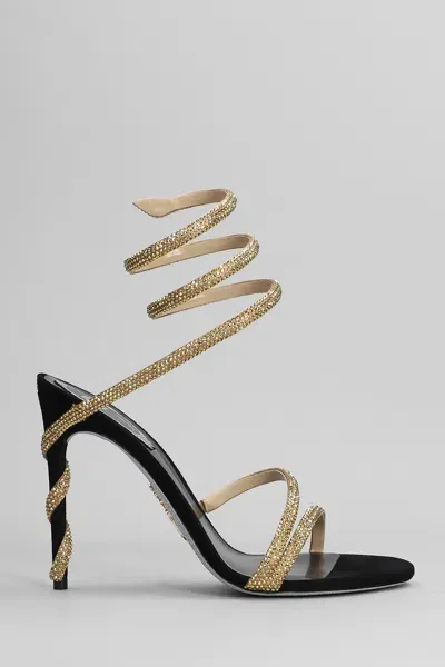 René Caovilla Margot Sandals In Black Leather