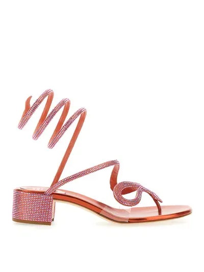 René Caovilla Sandal Snake In Pink