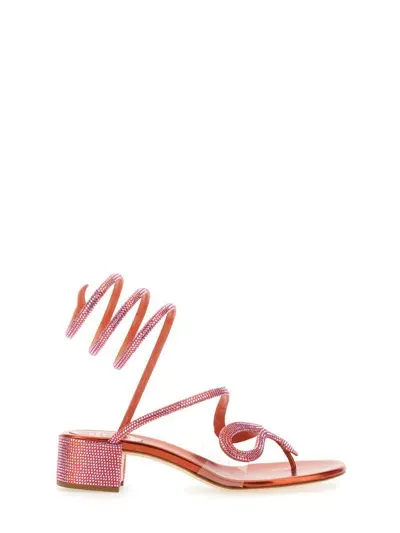 René Caovilla Rhinestone-embellished Mid-heel Sandals In Pink