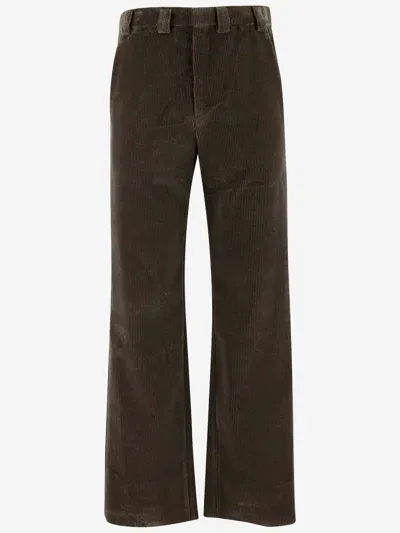 Rier Cotton Velvet Pants In Brown