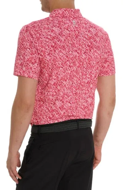 Robert Graham Tyne Short Sleeve Polo In Coral