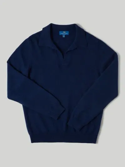 Robert Talbott Parsons Johnny Collar Sweater In Blue