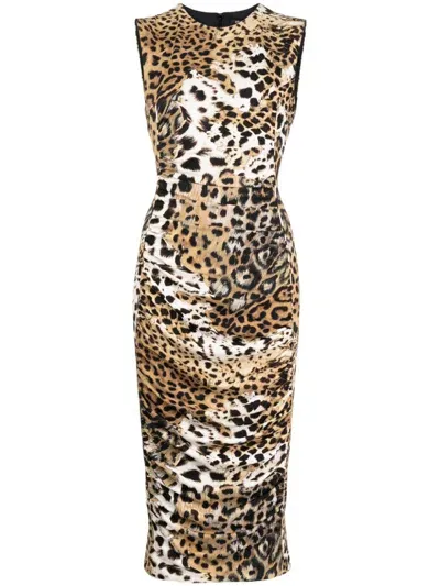 Roberto Cavalli Jaguar-print Gathered Midi Dress In Brown