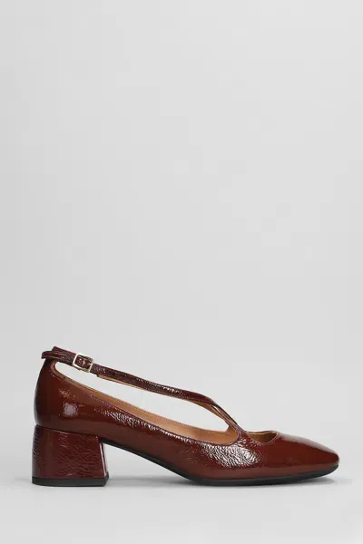 Roberto Festa Actress Pumps In Bordeaux Leather In Black