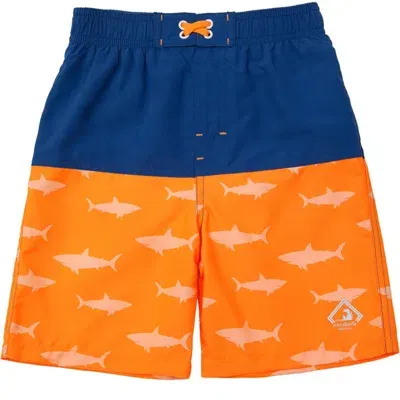 Rokka&rolla Babies'  Toddler Swim Trunks With Mesh Lining Upf 50+ In Blue Orange Shark