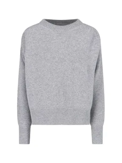 Sa Su Phi Sweaters In Grey