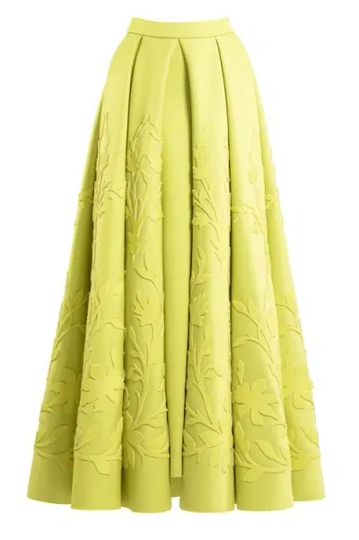 Saiid Kobeisy Pleated Skirt With Matching Embroidery In Green