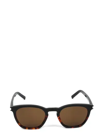 Saint Laurent Eyewear Sunglasses In Black & Havana