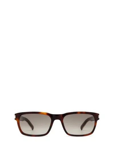 Saint Laurent Eyewear Sunglasses In Havana