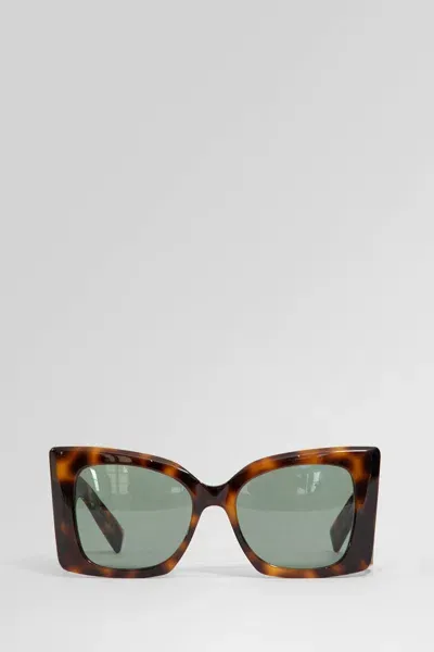 Saint Laurent Woman Brown Eyewear