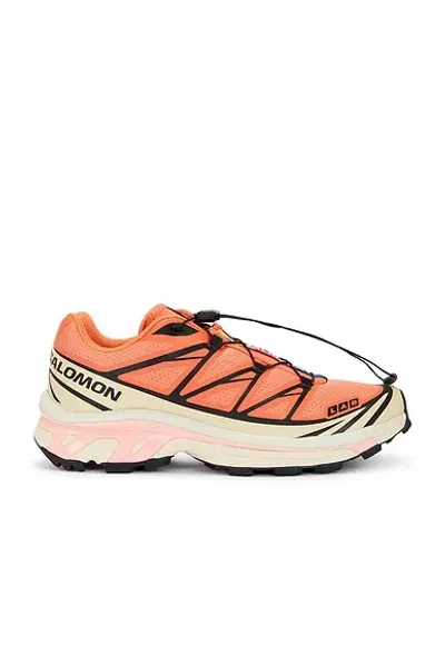 Salomon Xt-6 In Orange