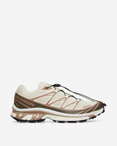 Salomon Xt-6 Sneakers Almond / Portabella / Ice Flow In Gelb