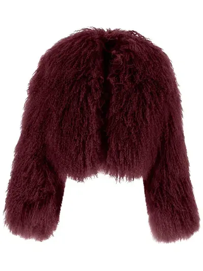 Salvatore Santoro Cropped Fur Coat In Purple