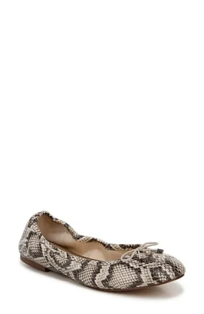 Sam Edelman Felicia Ballet Flat Roccia Leather In Grey