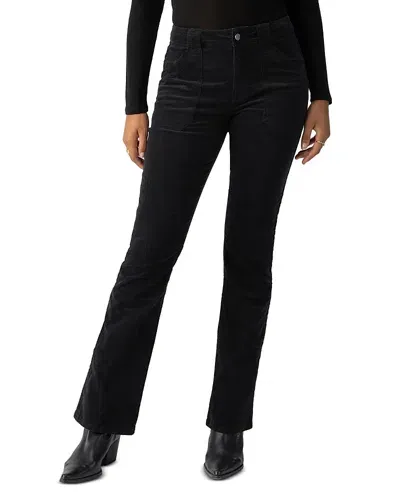 Sanctuary Hayden Bootcut Velvet Pants In Black