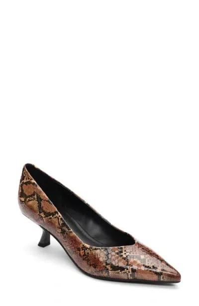 Sanctuary Padma Pointed Toe Pump In Brown Multi