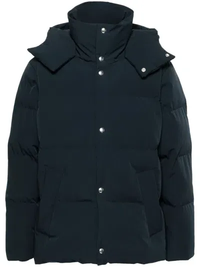 Sandro Puffer Jacket In Blue