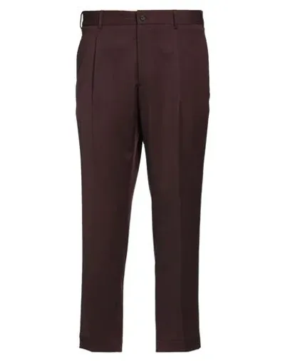 Santaniello Irno Viag Pants In Bordeaux Polyester In Brown