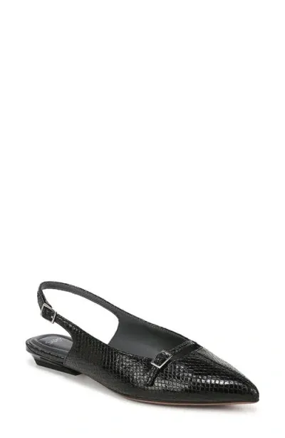 Sarto By Franco Sarto Emma Pointed Toe Slingback Flat In Black