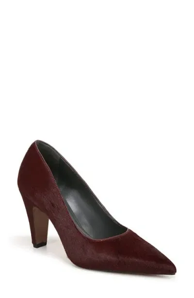 Sarto By Franco Sarto Sage Pointed Toe Pump In Bordo