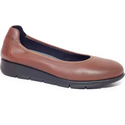 Saydo Filbert Ballet Flat In Clay