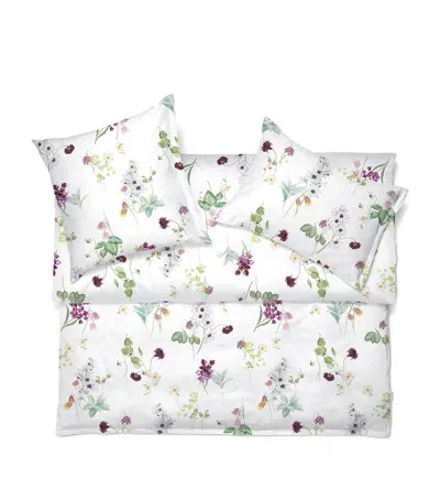 Schlossberg Freya Noblesse King Pillowcase In White