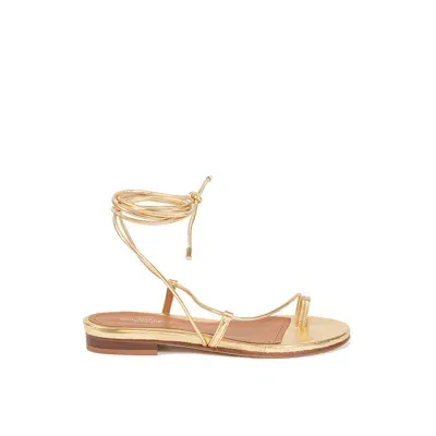 Sclarandis Gladiator Gold Metallic Nappa Sandal