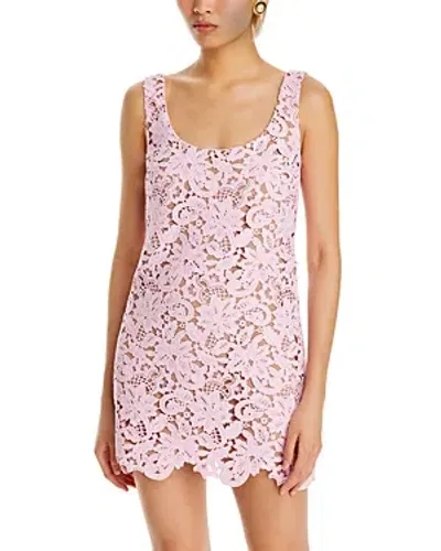 Self-portrait Lace Shift Dress In Pink