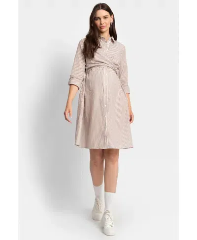 Seraphine Women's Stripe Shirt Dress In Taupe Stripe