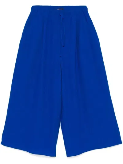 Sofie D'hoore Palau Trousers In Blue