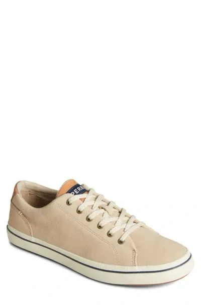 Sperry Striper Ii Sneaker In Cream