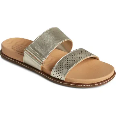 Sperry Waveside Pw Seasonal Slide Sandal In Smooth Gray