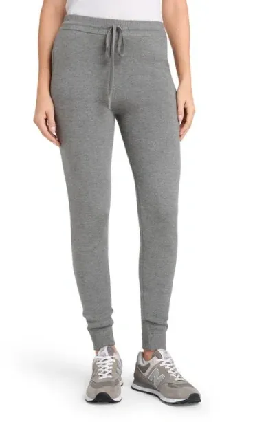 Splendid Kayla Tie Waist Joggers In Heather Fog