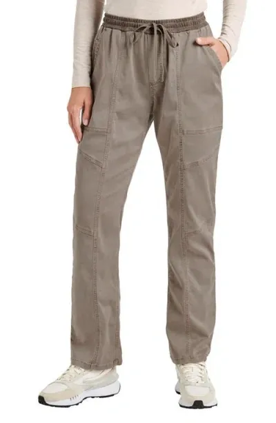 Splendid Shay Twill Pants In Tawny