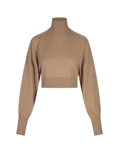 Sportmax Ululato Turtleneck Sweater In Brown