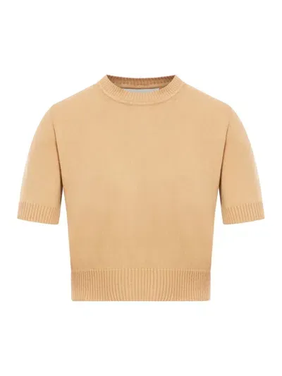 Sportmax Cropped Knitted Top In Beige