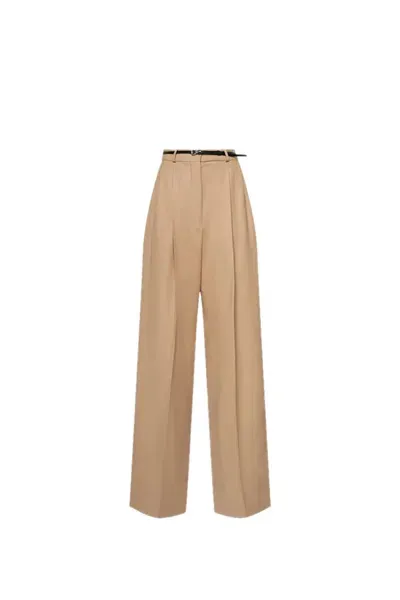 Sportmax Kiens12 Pants In Brown