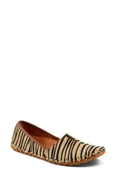 Spring Step Kathaleta Genuine Calf Hair Flat In Tiger Print