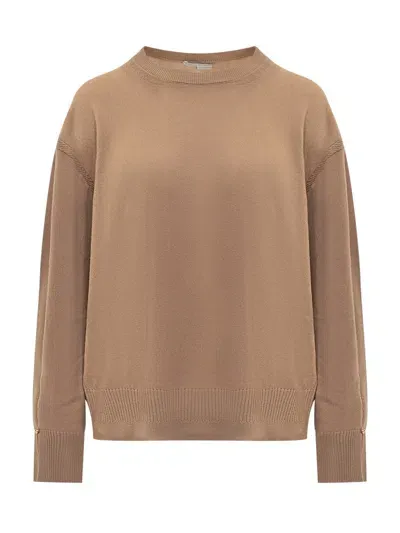 Stella Mccartney Merino Knit Jumper In Brown