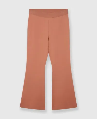 Stella Mccartney Mid-rise Flared Trousers In Blush